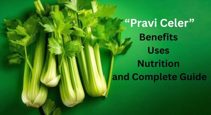 Pravi Celer – Benefits, Uses, Nutrition, and Complete Guide