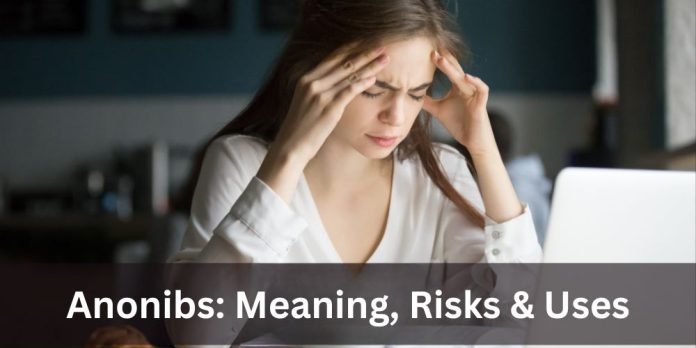 Anonibs: Meaning, Risks & Uses
