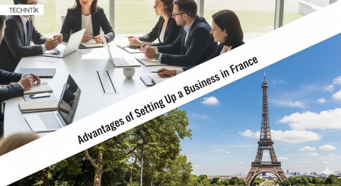 Advantages of Setting Up a Business in France